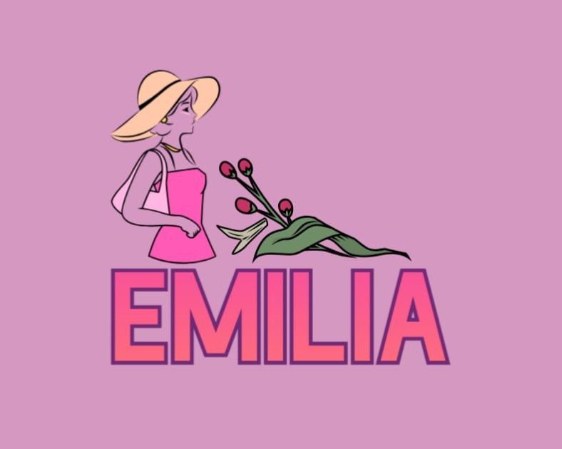 Emilia Wholesale Store
